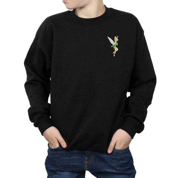 Disney Boys Tinkerbell Chest Sweatshirt