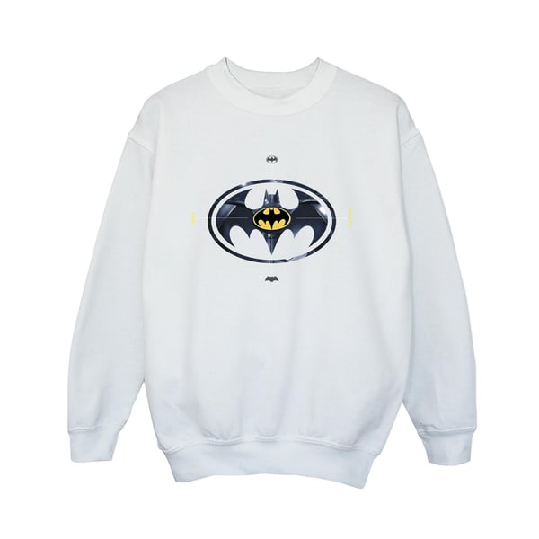 DC Comics Pojkar The Flash Batman Metall Logotyp Tröja