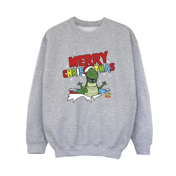 Disney Boys Toy Story Rex Christmas Burst Sweatshirt