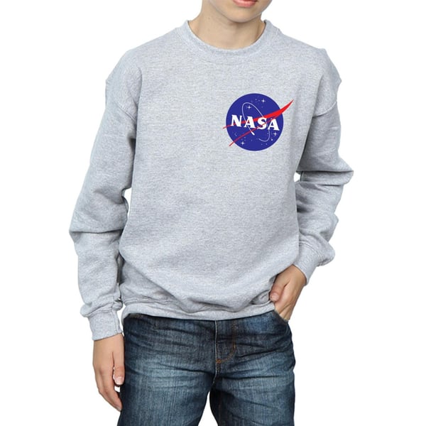 NASA Boys Classic Insignia Chest Logo Sweatshirt