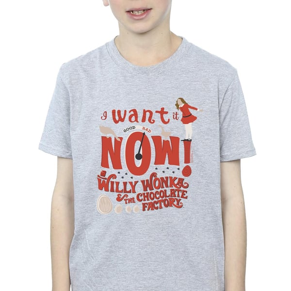 Willy Wonka Boys Verruca Salt I Want It Now T-Shirt