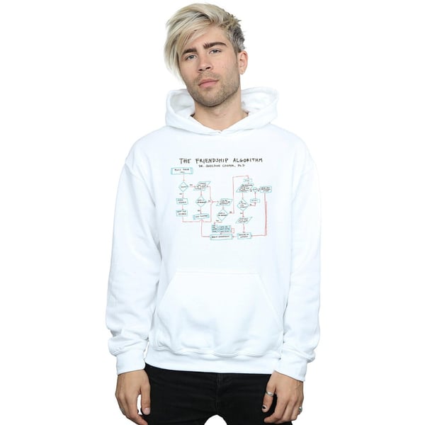 The Big Bang Theory Mens Friendship Algorithm Hoodie