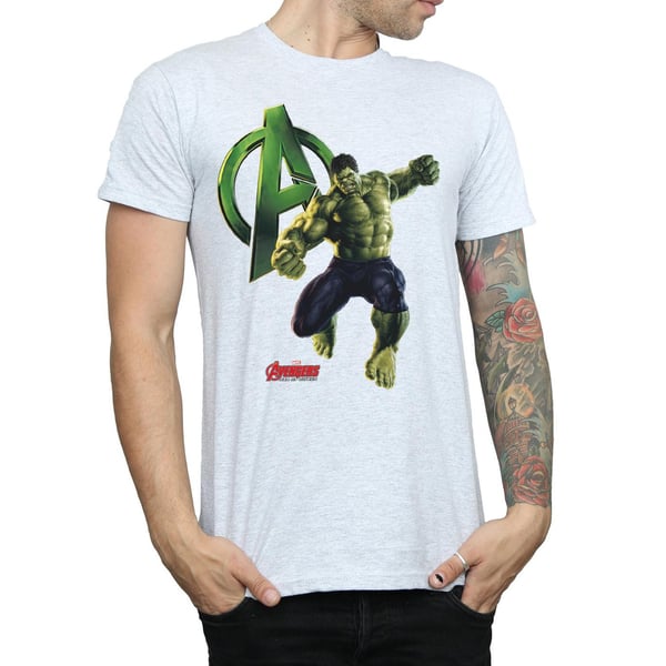 Hulk miesten poseeraus T-paita