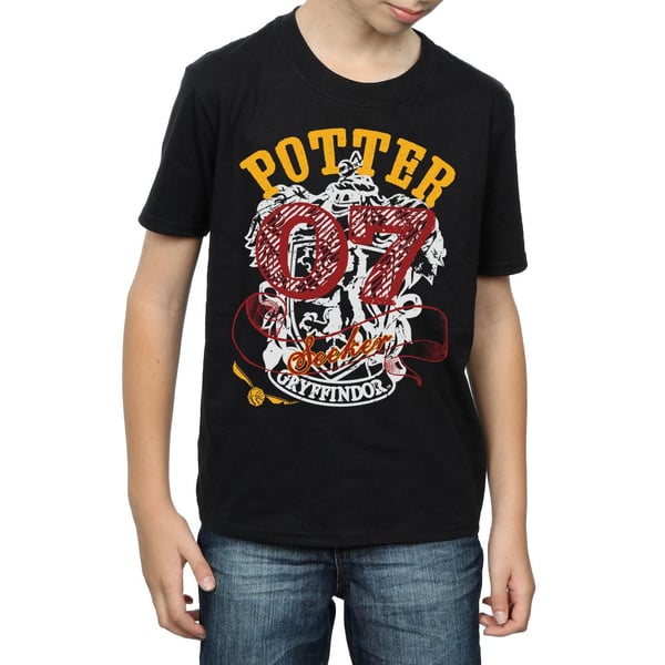 Harry Potter Boys Gryffindor Seeker T-Shirt