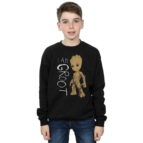 Marvel Boys Guardians Of The Galaxy I Am Groot Scribbles Sweatshirt