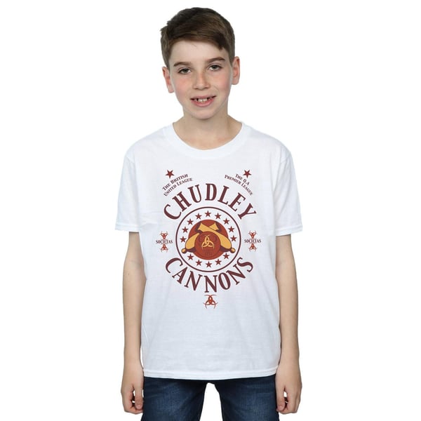 Harry Potter Boys Chudley Cannons Logo T-Shirt