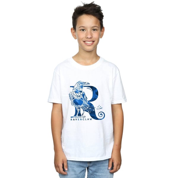 Harry Potter Boys Ravenclaw Raven T-Shirt