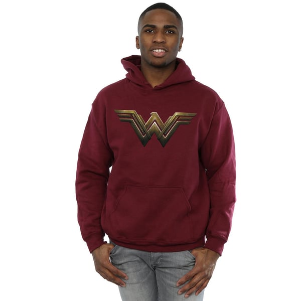 DC Comics Mens Wonder Woman Logo Hoodie