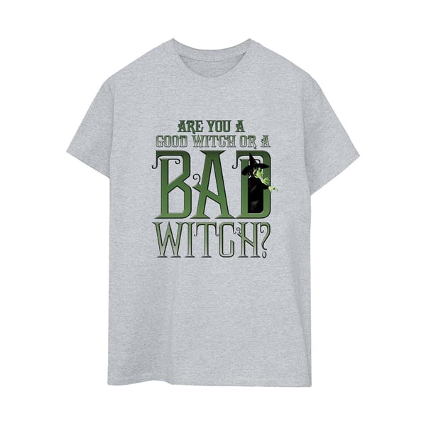 Wizard Of Oz Womens/Ladies Wicked Bad Witch Boyfriend T-Shirt