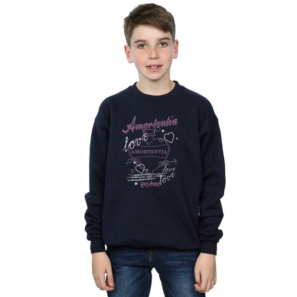 Harry Potter Boys Amortentia Potion Sweatshirt