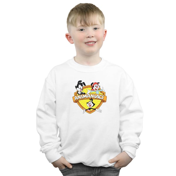 Animaniacs Boys Logo Crest Sweatshirt