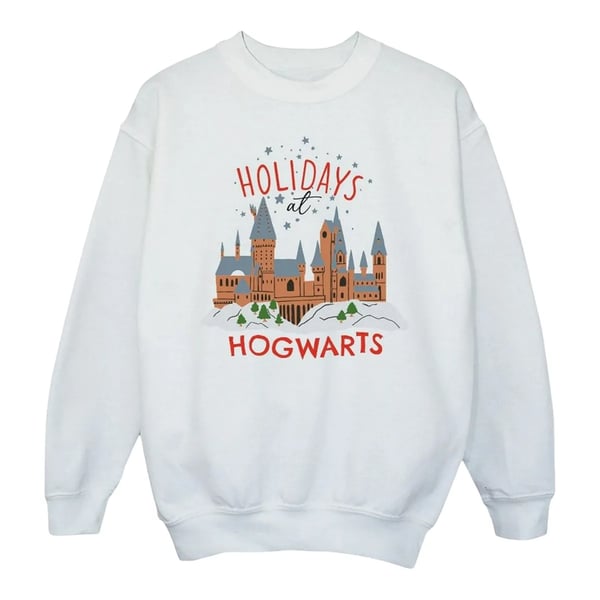 Harry Potter Mens Holidays At Hogwarts Sweatshirt