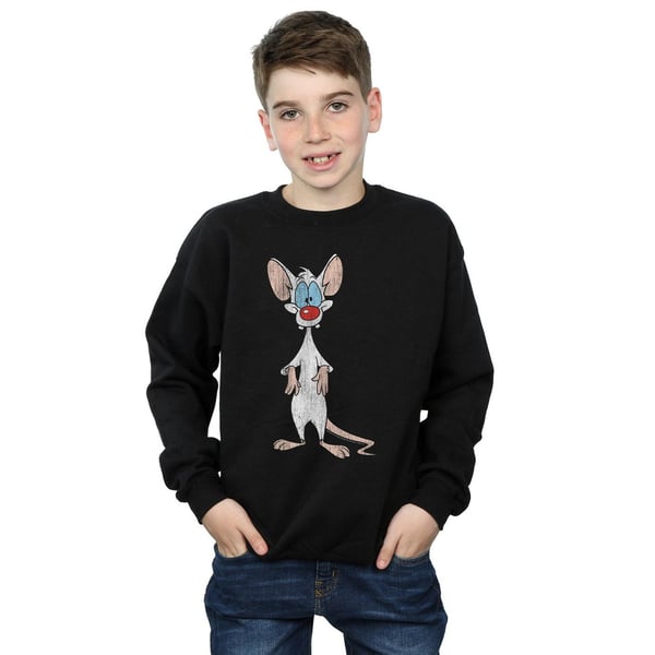 Animaniacs Boys Pinky Classic Pose Sweatshirt