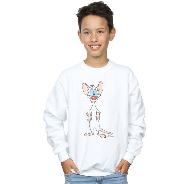 Animaniacs Boys Pinky Classic Pose Sweatshirt