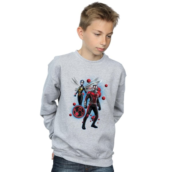Marvel Boys Ant-Man And The Wasp Particle Pose Sweatshirt