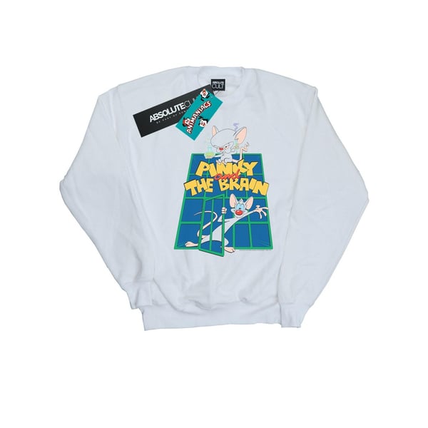 Animaniacs Womens/Ladies Pinky And The Brain Laboratory Sweatshirt
