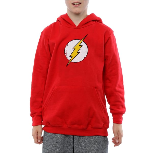 DC Comics Poikien Flash Kulunut Logo Huppari