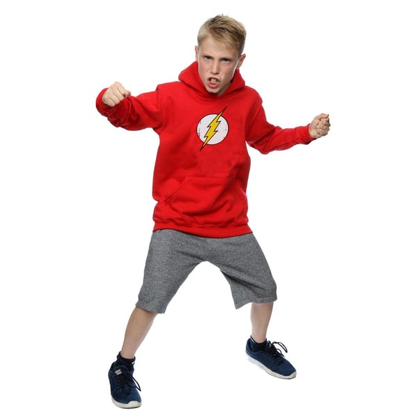 DC Comics Poikien Flash Kulunut Logo Huppari