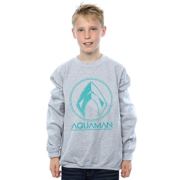 DC Comics Boys Aquaman Aqua Logo Sweatshirt