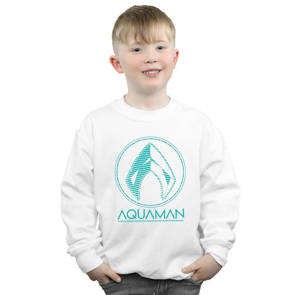 DC Comics Boys Aquaman Aqua Logo Sweatshirt