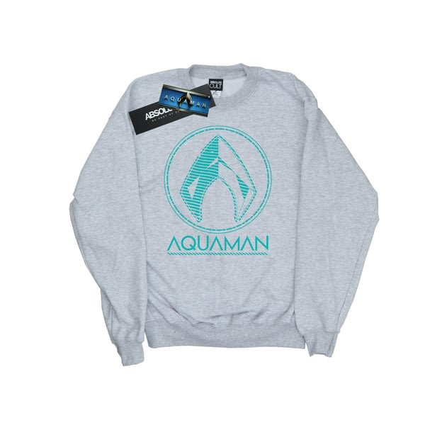 DC Comics Boys Aquaman Aqua Logo Sweatshirt