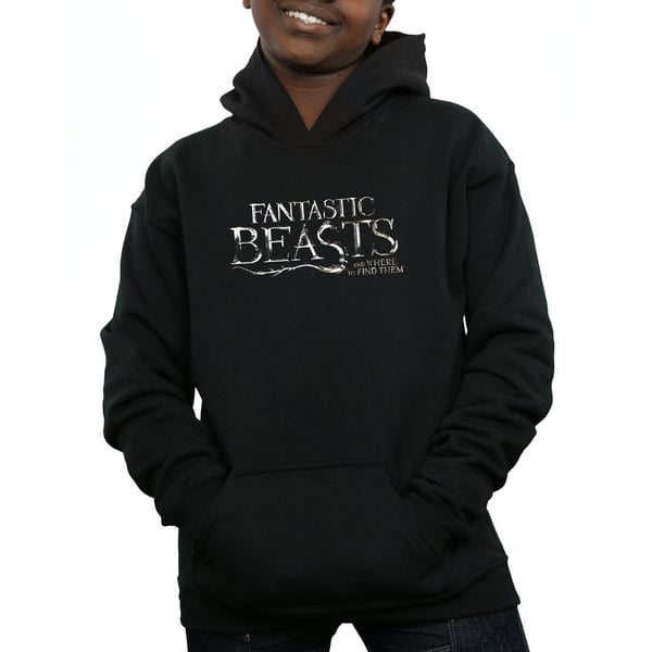 Fantastic Beasts Boys Text Logo Hoodie