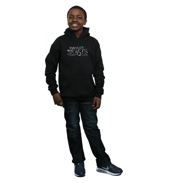 Fantastic Beasts Boys Text Logo Hoodie