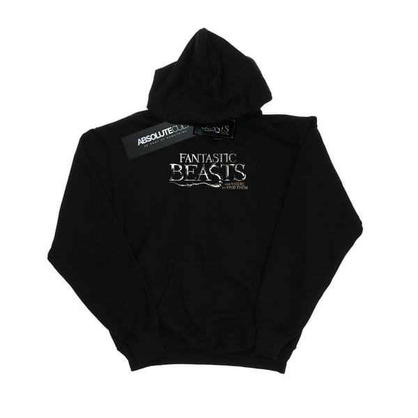 Fantastic Beasts Boys Text Logo Hoodie