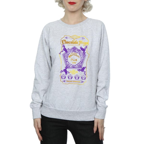 Harry Potter Womens/Ladies Chocolate Frogs Coloured Label Sweatshirt