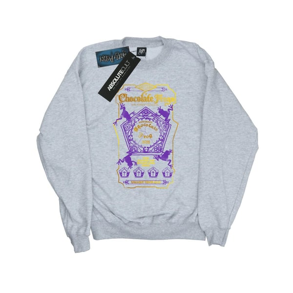 Harry Potter Womens/Ladies Chocolate Frogs Coloured Label Sweatshirt