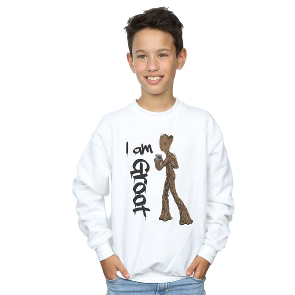 Marvel Boys Avengers Infinity War Graffiti Groot Sweatshirt