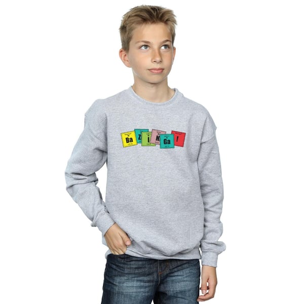 The Big Bang Theory Boys Bazinga Elements Sweatshirt