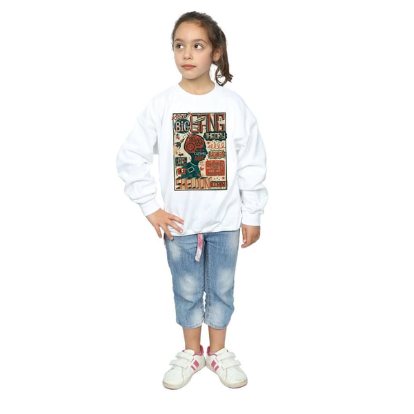 Big Bang Theory Girls Infographic Poster Sweatshirt