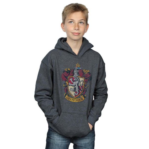 Harry Potter Boys Gryffindor Distressed Crest Hoodie