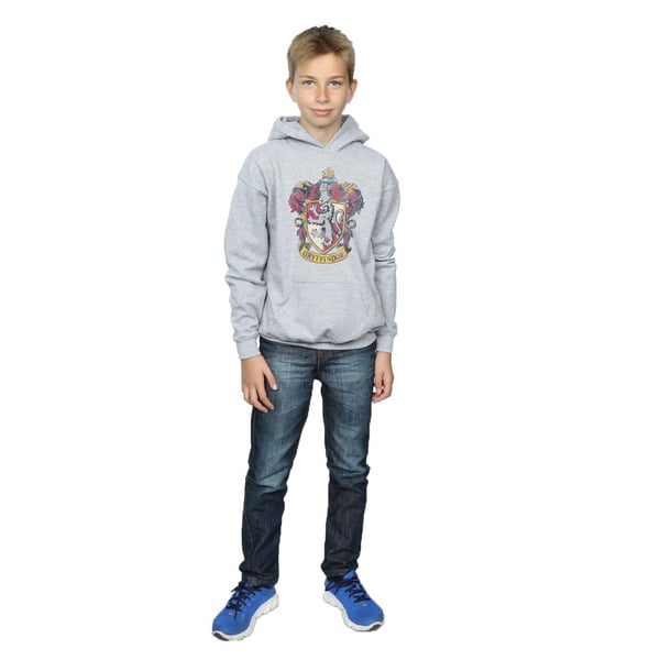 Harry Potter Boys Gryffindor Distressed Crest Hoodie