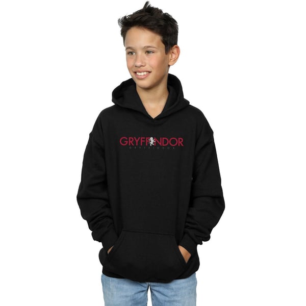 Harry Potter Boys Gryffindor Text Hoodie