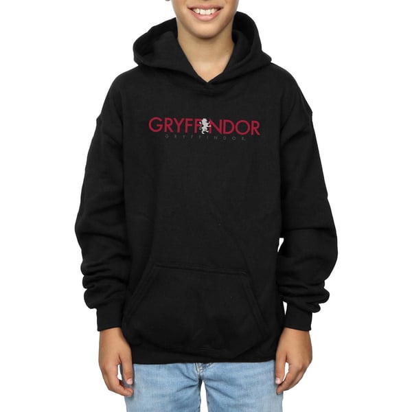 Harry Potter Boys Gryffindor Text Hoodie