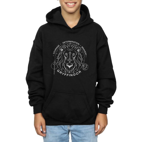 Harry Potter Poikien Gryffindor-sinettihuppari