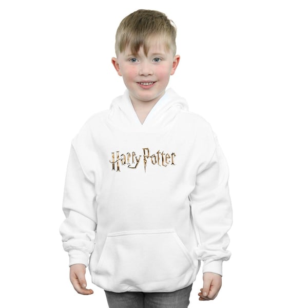 Harry Potter Boys Full Colour Logo Hoodie