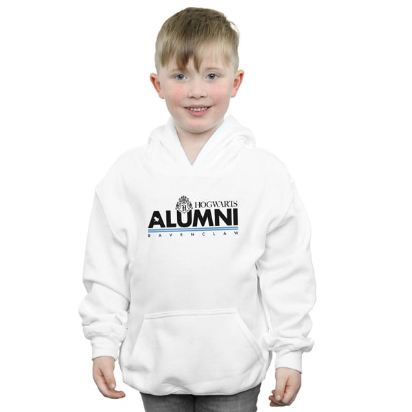 Harry Potter Boys Hogwarts Alumni Ravenclaw Hoodie