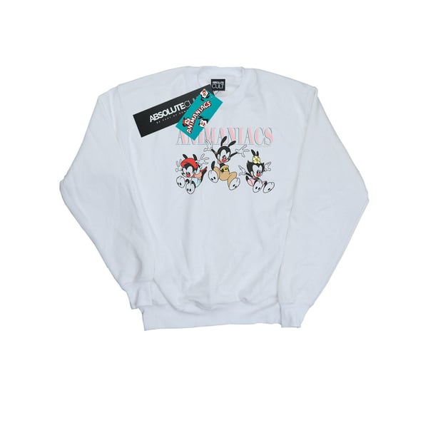 Animaniacs Mens Group Jump Sweatshirt