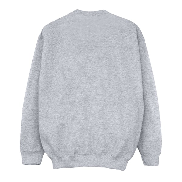 Harry Potter Boys Gryffindor Cotton Sweatshirt