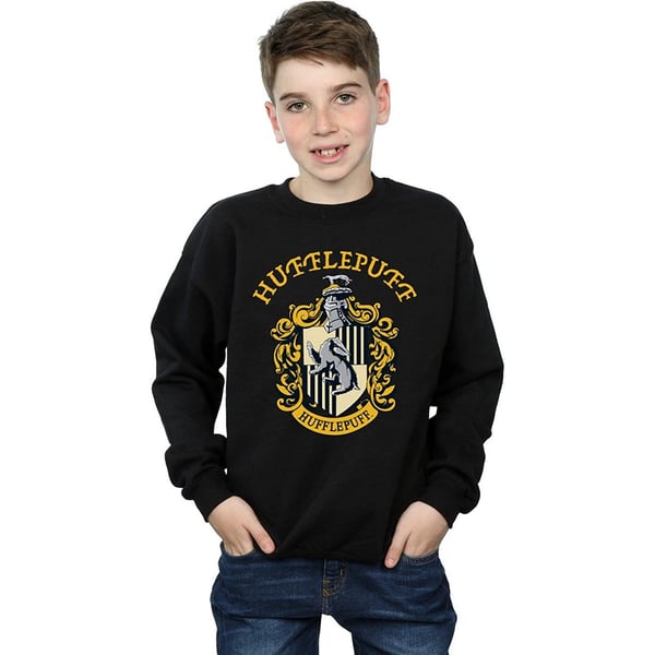 Harry Potter Boys Gryffindor Cotton Sweatshirt