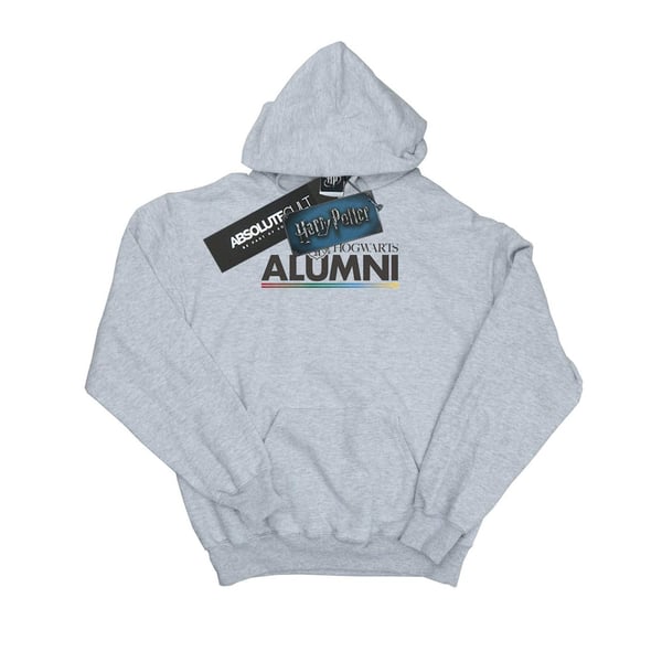 Harry Potter Womens/Ladies Hogwarts Alumni Hoodie