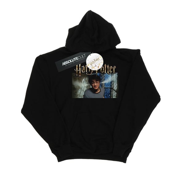 Harry Potter Womens/Ladies Steam Ears Hoodie