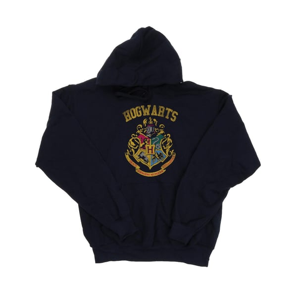 Harry Potter Dam/Dam Hogwarts Varsity Hoodie