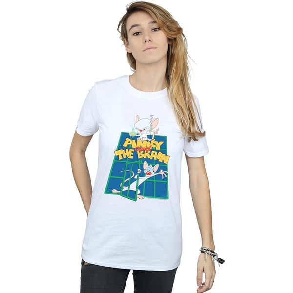 Animaniacs Womens/Ladies Pinky And The Brain Laboratory Cotton Boyfriend T-Shirt