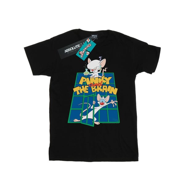 Animaniacs Womens/Ladies Pinky And The Brain Laboratory Cotton Boyfriend T-Shirt