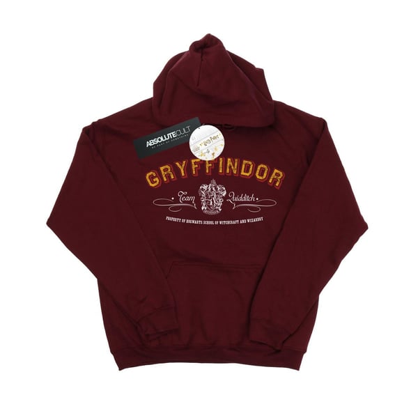 Harry Potter Womens/Ladies Gryffindor Team Quidditch Hoodie
