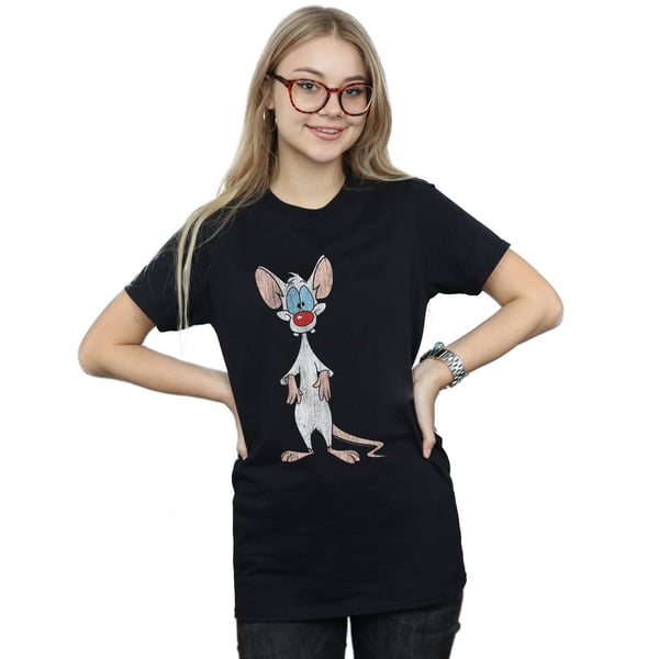 Animaniacs Womens/Ladies Pinky Classic Pose Cotton Boyfriend T-Shirt